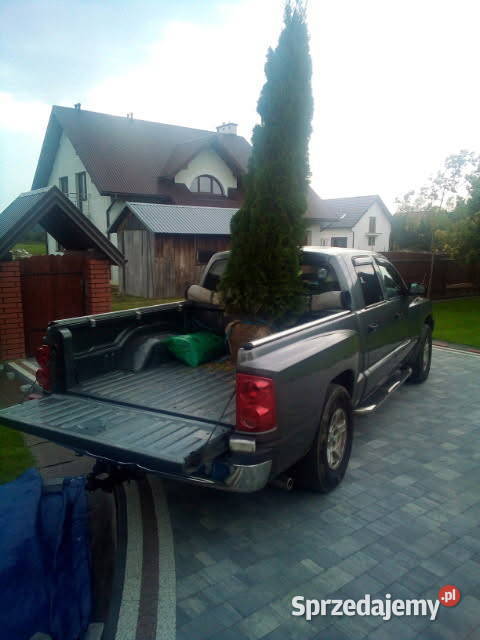 Dodge Dakota 37 V6 Magnum Amerykański pickup