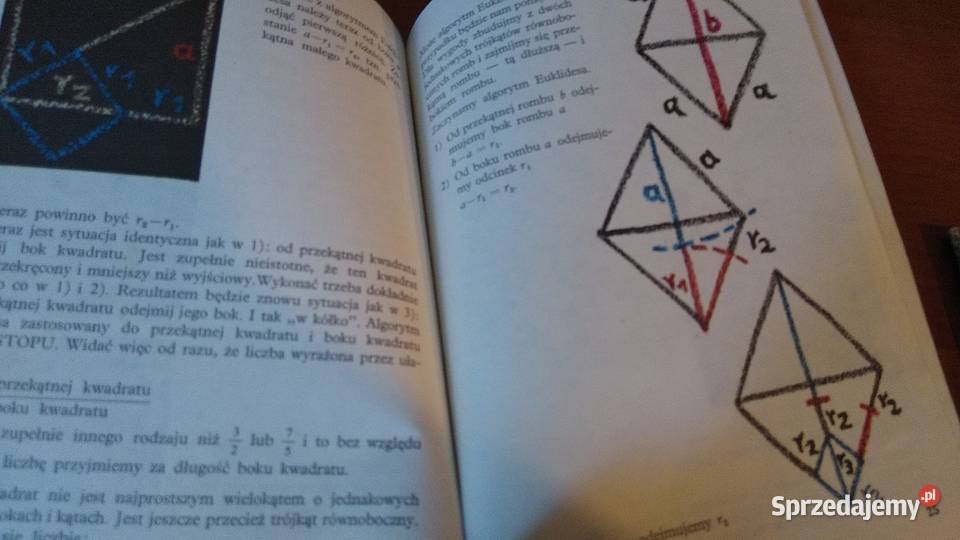 Liczby i algorytmy Cz 12 Krystyna Dałek Seria z Gdańsk sprzedam