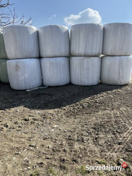 Sprzedam sianokiszonką Męcina