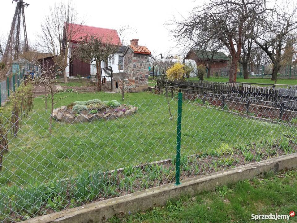 Działka ogrodowa rekreacyjna ROD Ełk ogródek siatka