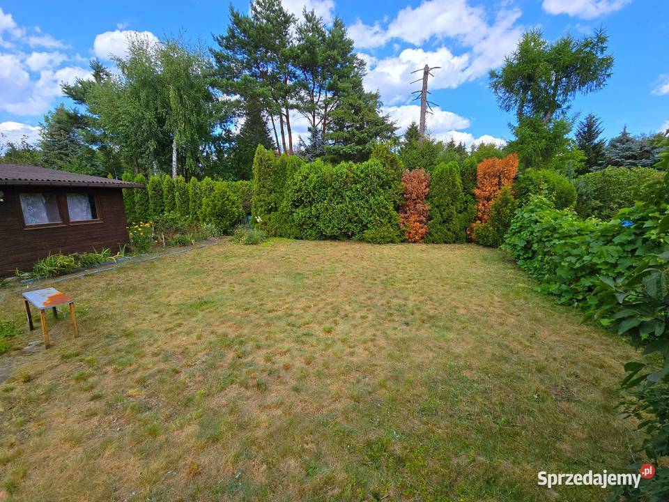 Działka ROD 300 m2 z domkiem Przypki k Tarczyna