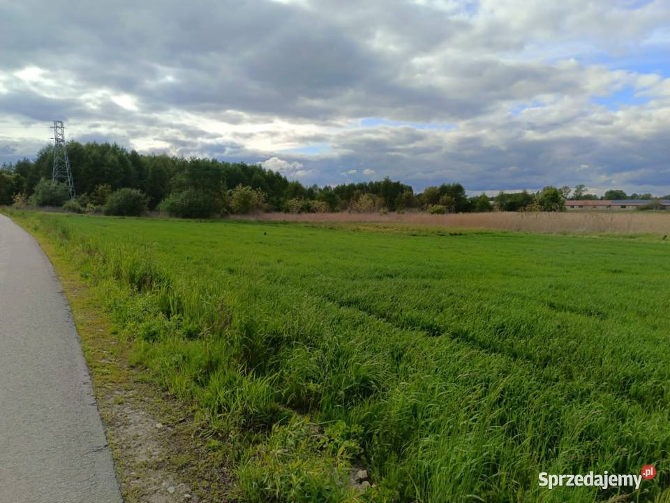 Działka 30 arowa w Głuchowie k Łańcut woj 60zł/m2