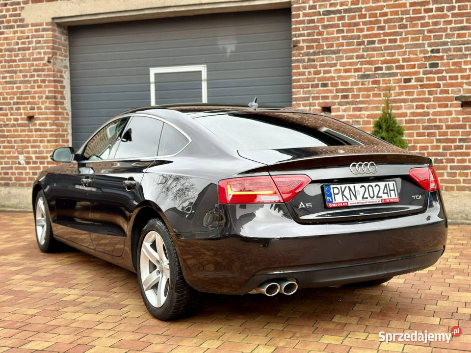 Audi A5 Zweryfikowany CarVertical 8T 20072016 Sadlno sprzedam