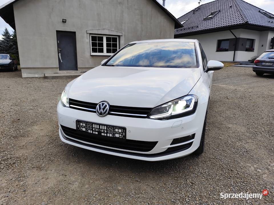 Volkswagen Golf VII 16 TDI 110 Gorlice