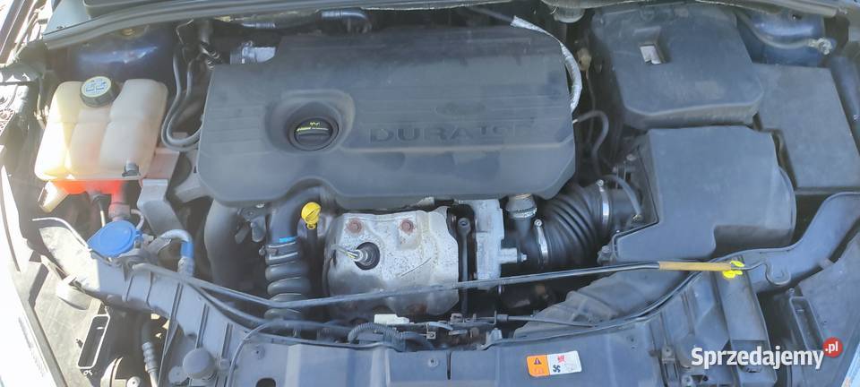 Ford Focus ładny zadbany manualna wielkopolskie