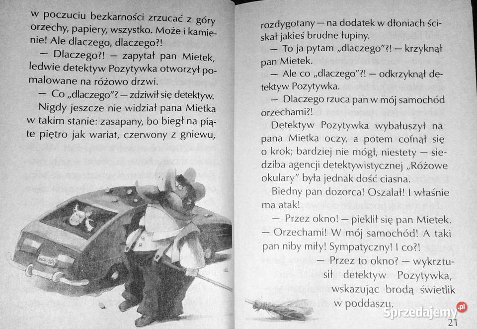 Pamiątki detektywa Pozytywki Grzegorz Kasdepke Chełm sprzedam