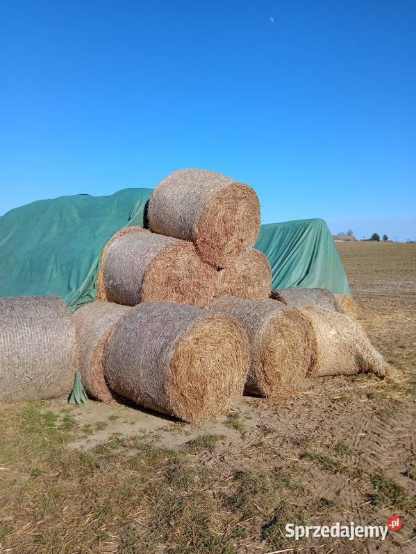 Słoma baloty 120x120 Pruszcz