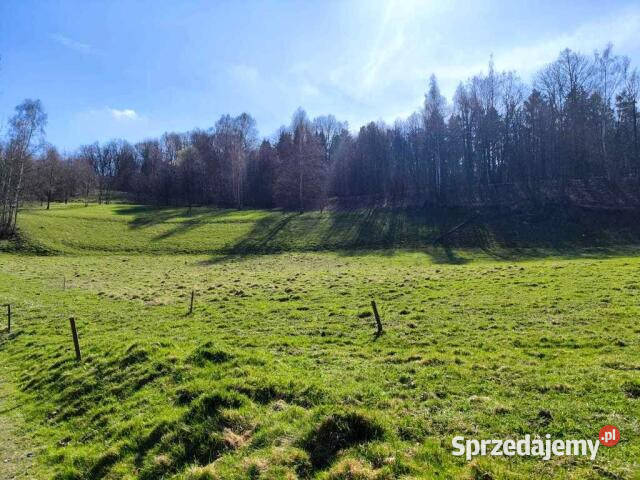 Działka 5305m2 Piechowice