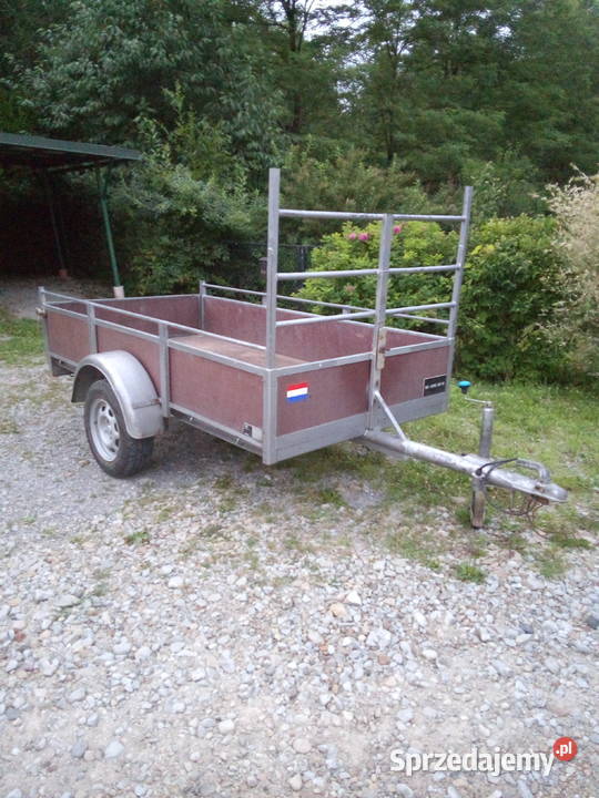 Przyczepka Samochodowa Holenderska 250x130 Stan Motoryzacja Głobikówka