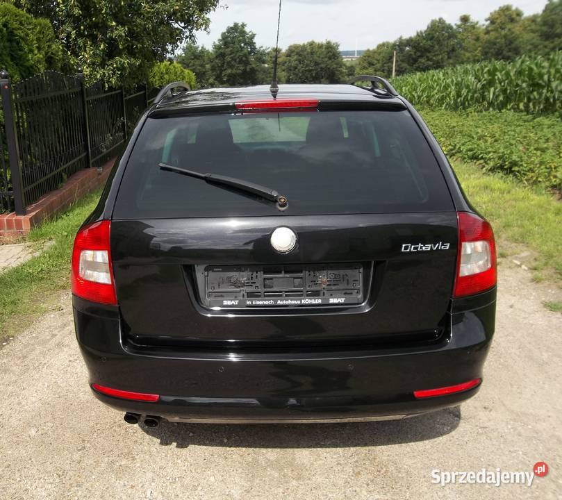 Skoda Octavia 19 TDI 105 Iława
