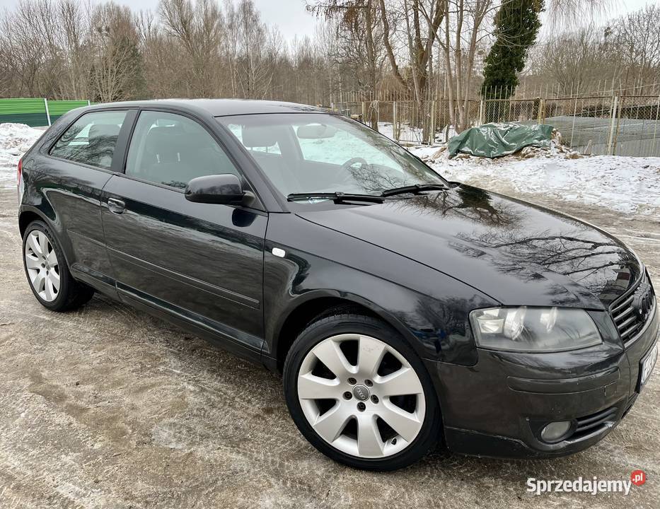 Audi A3 16 benzynaLPG 2004rklimaalufelgi 19super pomorskie Słupsk