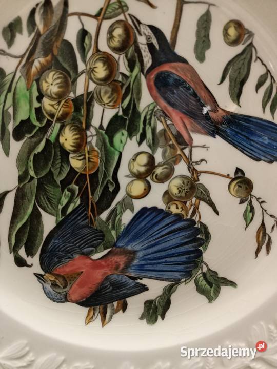 Talerz obiadowy birds America ilustra AUDUBONA Zamość