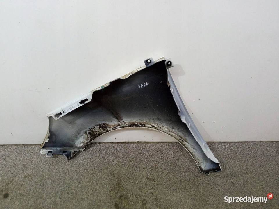 BŁOTNIK PRAWY PRZÓD DV369 Renault Scenic III