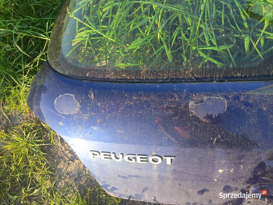 Klapa tylna bagażnika Peugeot 307 hatchback 01 osobowe małopolskie Kraków