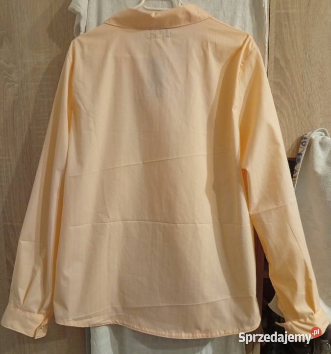 Koszula damska Alina 1 Rozmiar 46 Odzież damska Pyrzyce