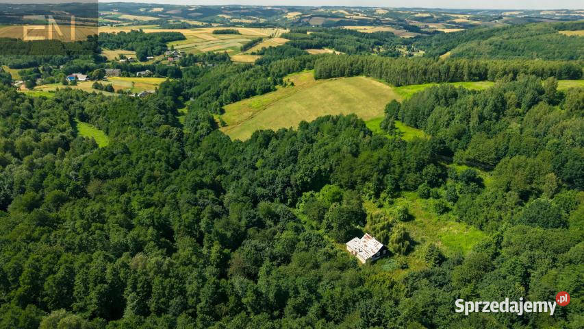 Działka Jaszczurowa 18900m2 Sprzedaż Sprzedaż podkarpackie