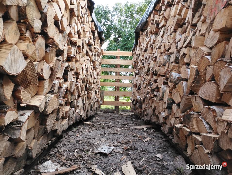 Drewno Kominkowe Stęszew Suche Dostawa Przed
