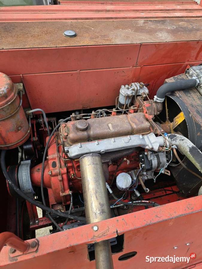Massey ferguson 506 Królówka
