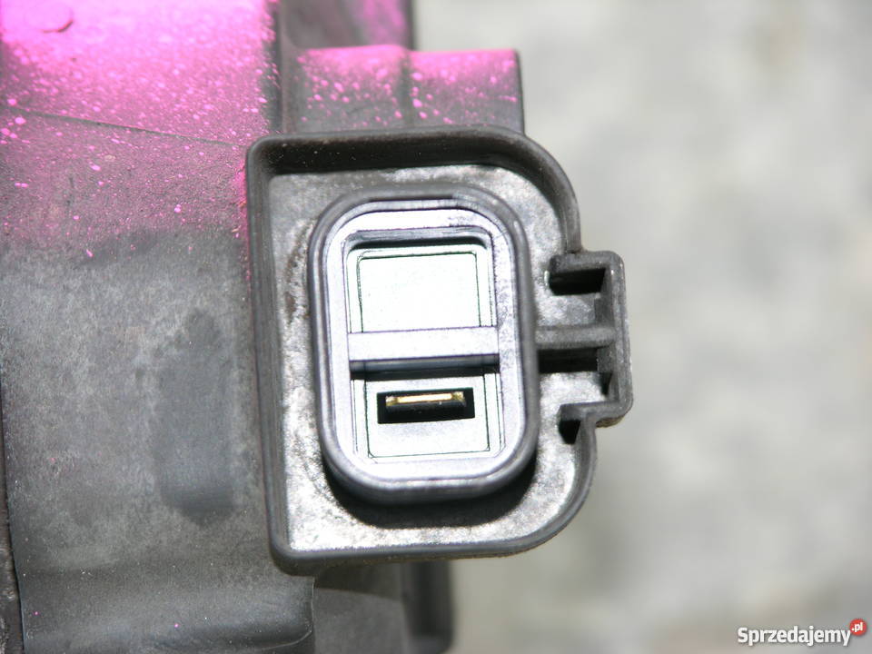 alternaror kia ceed vengasoulrio carens Ryki