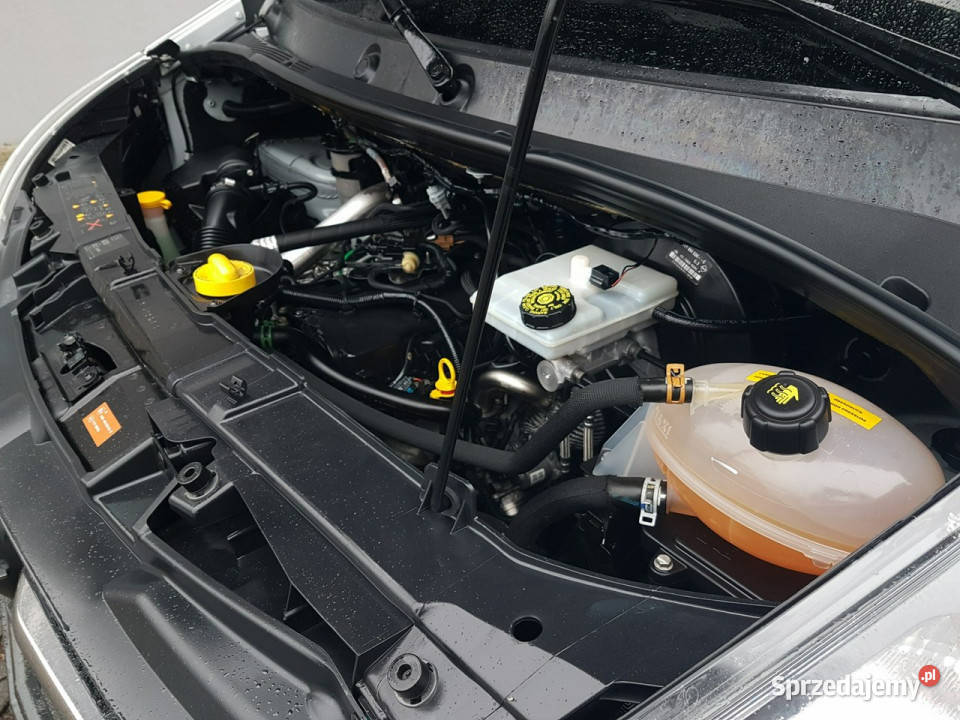 Opel Movano MASTER 9 OSÓB L4H2 BLIŹNIAKI Poręba