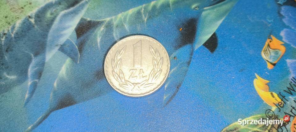 Monety PRL 1 1977 r Gliwice