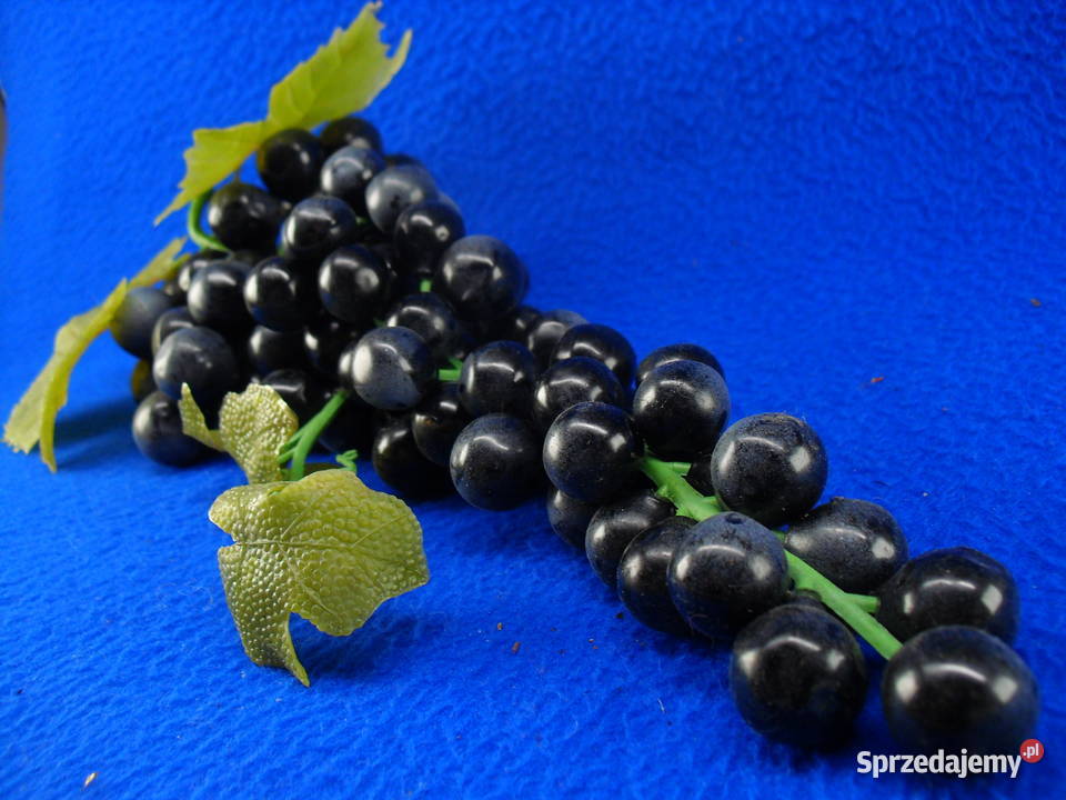 Winogrona do dekoracji dolnośląskie Bielawa