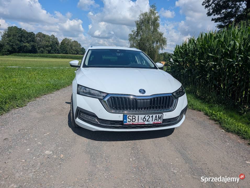 Skoda Octavia IV mocno doinwestowana system Start-Stop