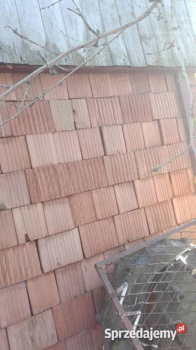 Cegła pustak ceramiczny Stara chaykówka 2sztuka Rzeszów