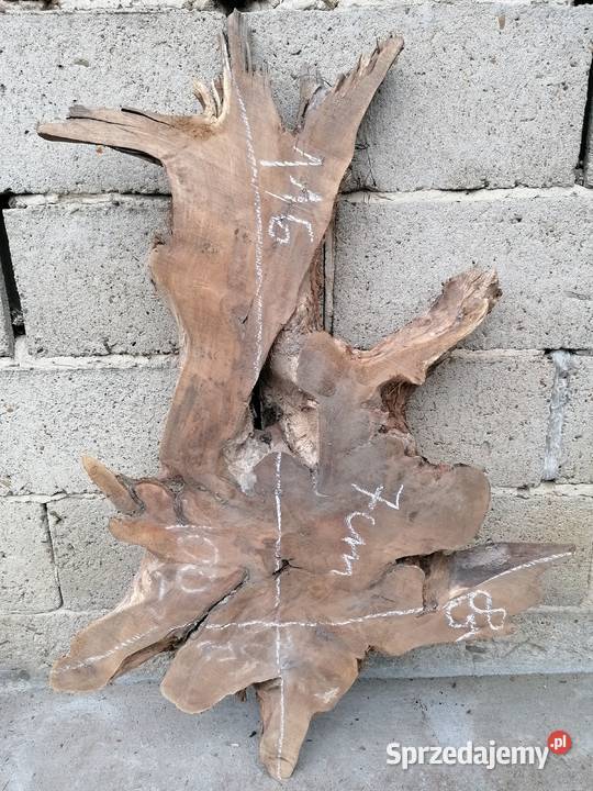 Suche plastry drewna orzech czereśnia jabłoń dąb Kamyk sprzedam