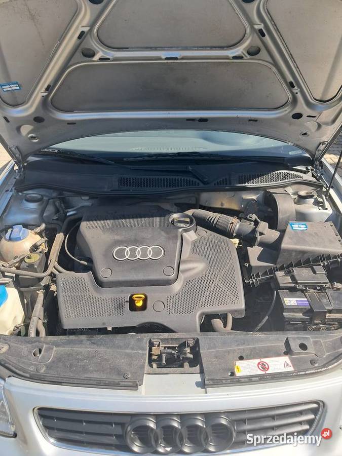 Audi A3 8L 16 MPI 101 manualna A3 Hostynne-Kolonia