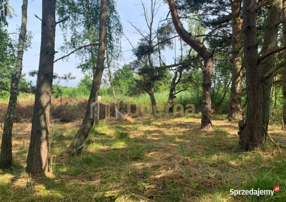 Działka morzem Sprzedaż Międzywodzie