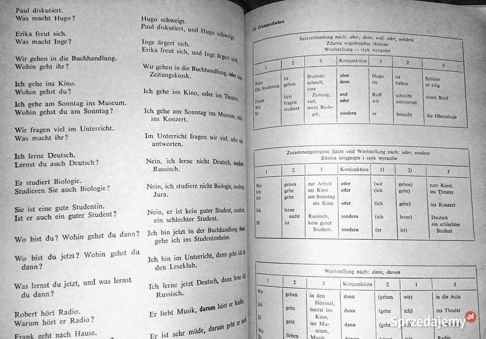 Polnische studenten lernen deutsch Grundstufe Chełm
