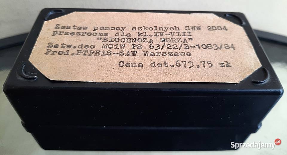 Slajdy Biocenoza morza Ostrów Wielkopolski sprzedam