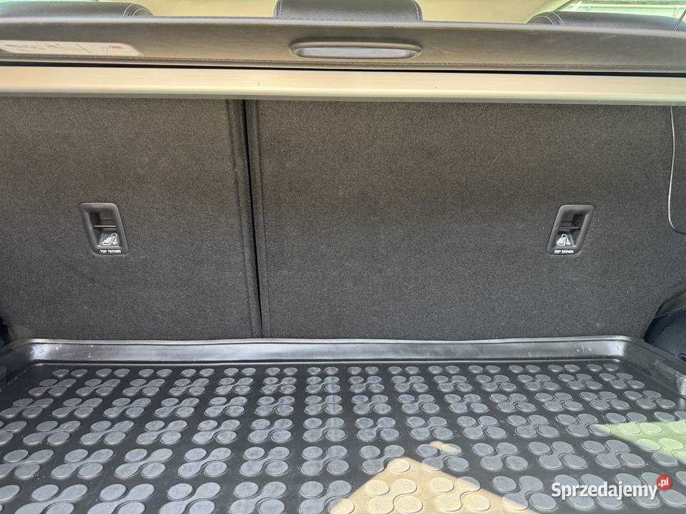 Sprzedam wielkopolskie Pleszew