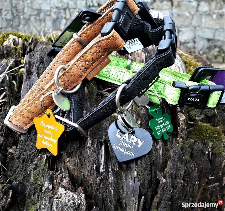 IDENTYFIKATOR PSA KOTA ZWIERZĄT GRAWER MEDALIK Dla psów śląskie Skoczów