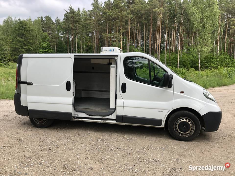 Renault traffic opel vivaro chłodnie 3 pomorskie Gdynia