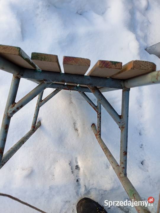 Sanki zimowe na Kulig Ciekoty