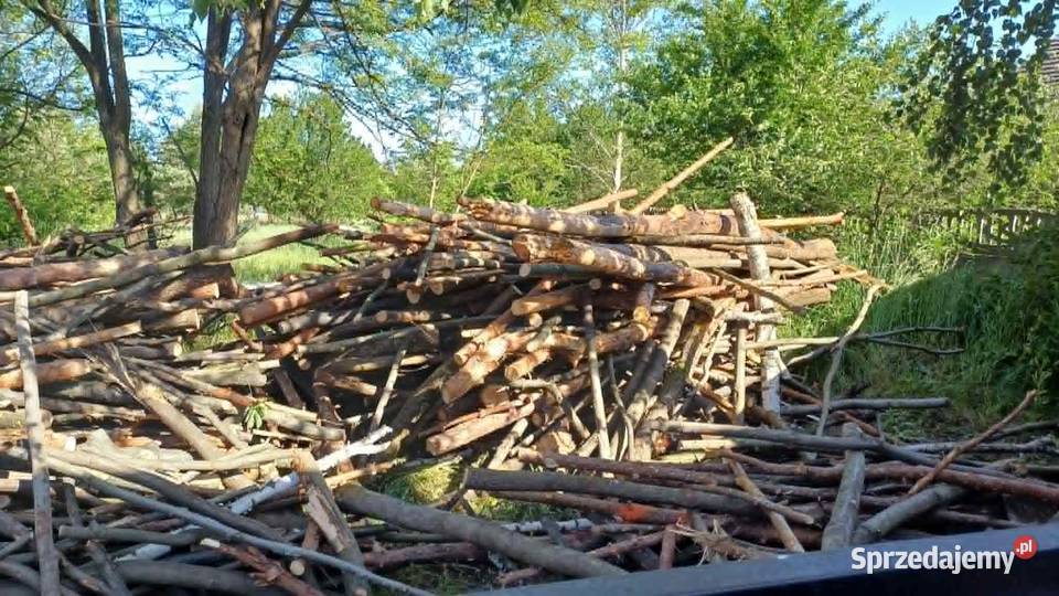 Sprzedam drewno dąb sosna brzoza Pozostałe Tarnobrzeg