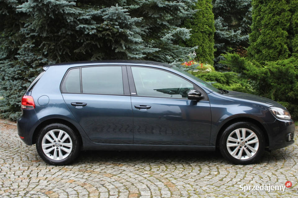 Volkswagen Golf Benzyna Bogate Wyposażenie przyciemniane szyby dolnośląskie Lubań