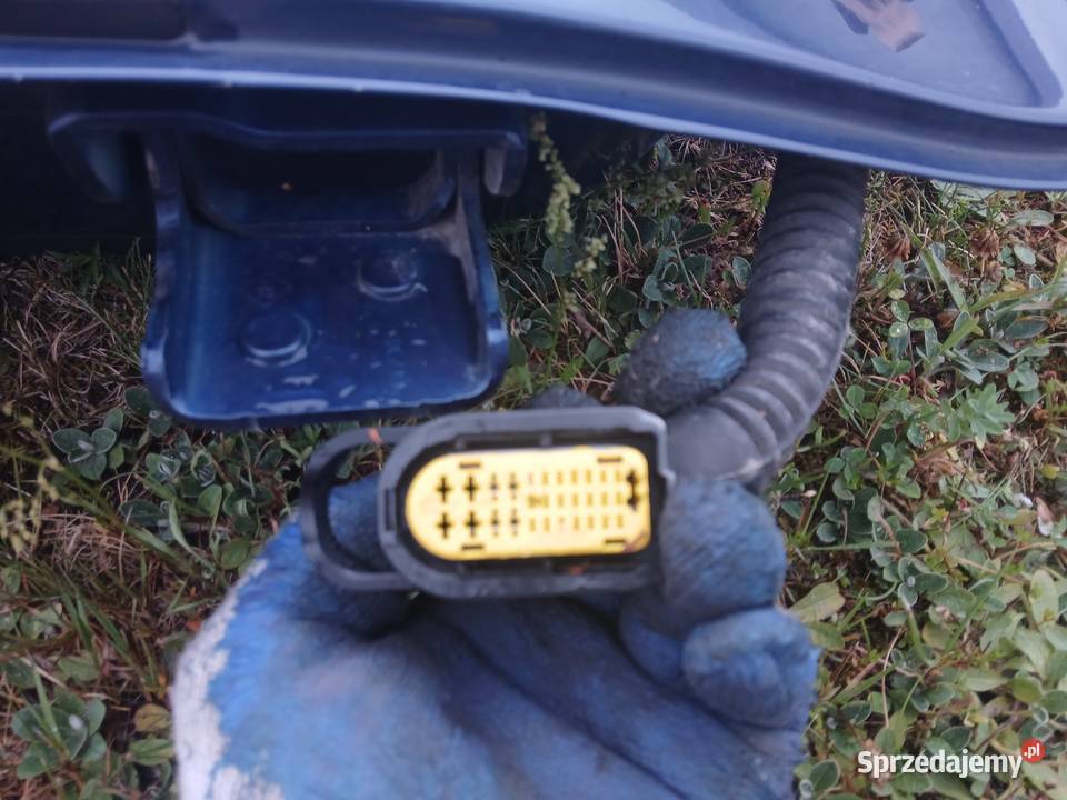 Drzwi lewe tył tylne Renault Clio III 3 lak małopolskie Radłów