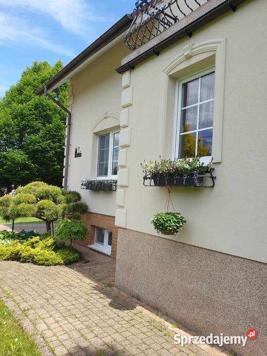 Kwietnik kwiaty balkonowe Kolbuszowa Dolna