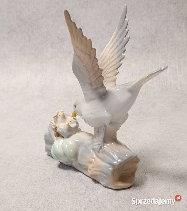 CASADES Ptak karmiący młode Powrót do gniazda pomorskie Gdańsk