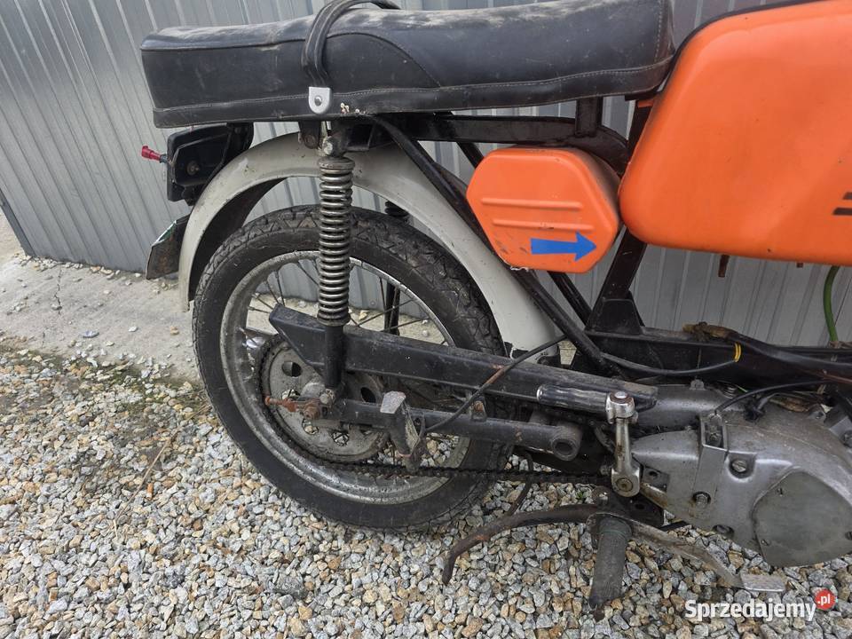 Jawka Mustang dolnośląskie Bratoszów