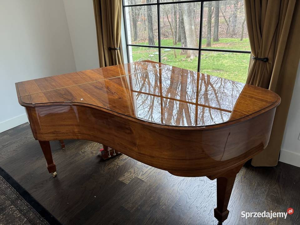 Steinway Grand Piano Model A Crown Jewel Warszówka