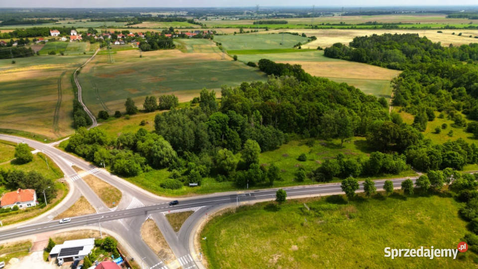 Duża działka usługowa 8600 m2 FILM Wilczków