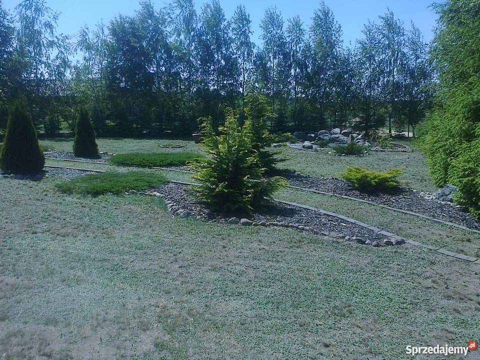 Sprzedam działkę rekreacyjną Wincentowo