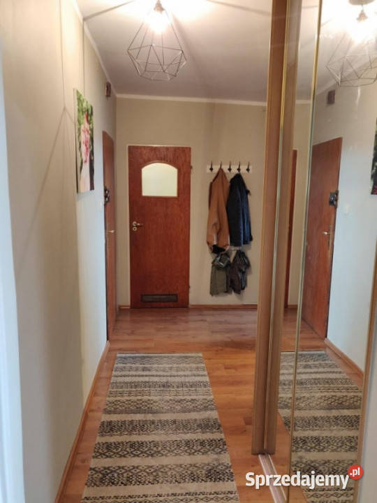 Mieszaknie z widokiem na Park Śląski Liczba pokoi 2 śląskie Katowice sprzedam