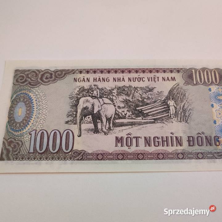 Banknot ze Słoniem na szczęście 1000 dong dolnośląskie Wrocław