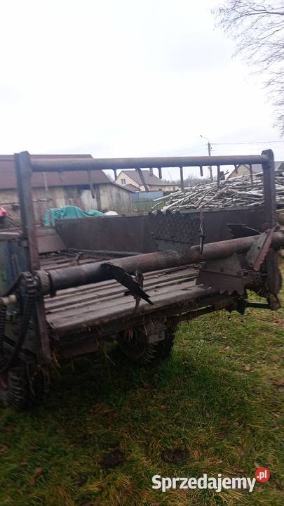 Rolnictwo nieuszkodzony Pozostałe podkarpackie Zapole