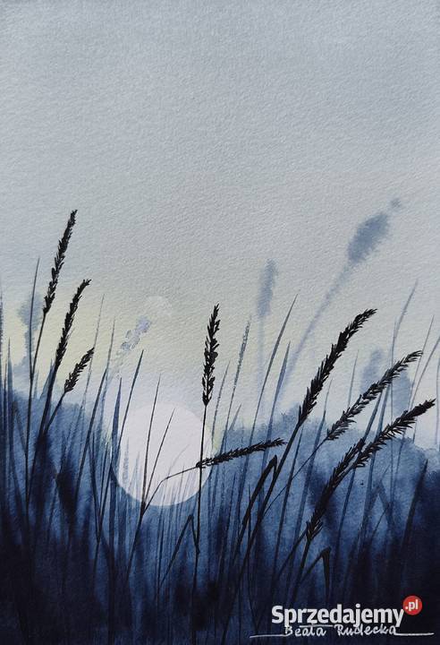 Oryginalna Akwarela Obraz pt Atramentowy wielkopolskie Poznań